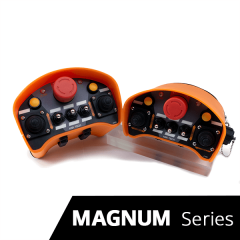 MAGNUM Series Proportional Controller