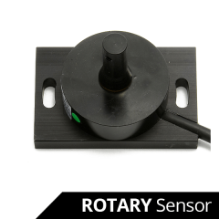 Angular Position Sensor