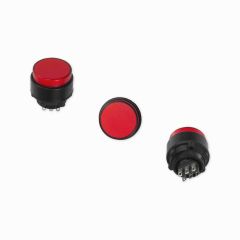 Two Pole Deadman Switch